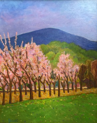 Pruni in fiore Pruni in fiore
